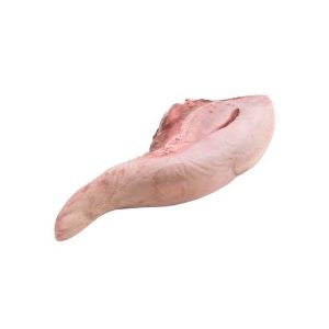 زبان بدون حلقوم